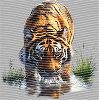 Animal Integration-DW 1790